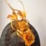 Black and Gold Fascinator Two