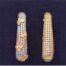 CZ Pave Stars Earring Three