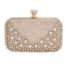 Stylish Gold Crystal Purse