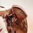 Wide Brown Derby Hat
