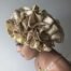 Gold Emily fascinator Turban Four