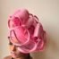 Pink Fascinator Headgear One